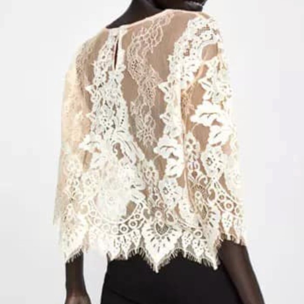 Zara Blush Floral Eyelash Lace Top